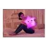 Star shaped pillow - with LED - 40 * 35 cmCuddly toys