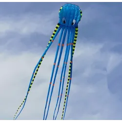 CometaCometa deportiva de playa - hinchable - plegable - pulpo rayado - 8M