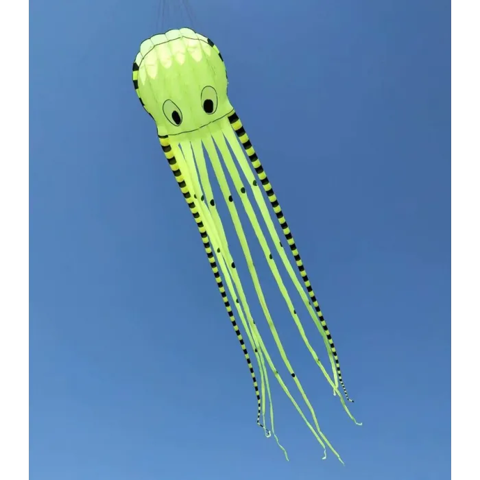 Sports beach kite - inflatable - foldable - striped octopus - 8MKites