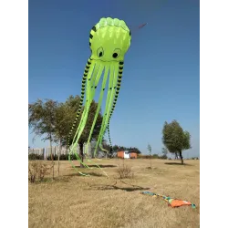 Sports beach kite - inflatable - foldable - striped octopus - 8MKites