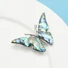 Natural shell butterfly broochBrooches