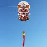 Colorful 3D lion kite - with handle / lineKites