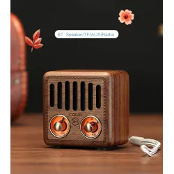 Altavoz BluetoothAltavoz retro de plástico - radio FM digital - Bluetooth