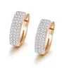 Gold zircon earringsEarrings