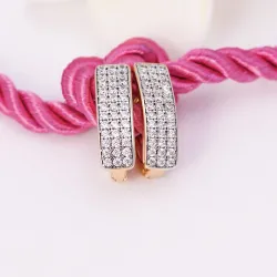 Gold zircon earringsEarrings