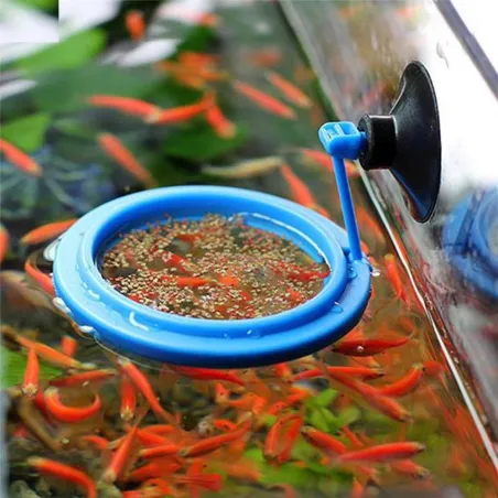 AcuarioAlimentador circular/cuadrado para acuario