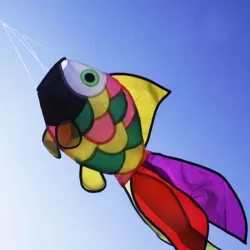 CometaPez arcoiris - cometa