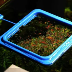 Acuariocomedero para peces de acuario