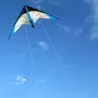 Triangle shaped kite - with double line / handleKites