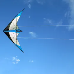 Triangle shaped kite - with double line / handleKites