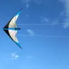 Triangle shaped kite - with double line / handleKites