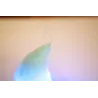 Animales de pelucheMuñeca de luna con colorido Luces de plomo 35 cm