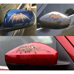 Pegatinas3D araña & escorpión & lagarto - pegatina de coche - decal
