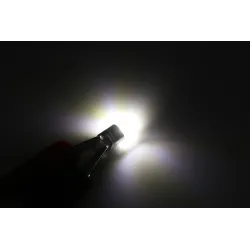T10T10 W5W 3030 Lámpara de señalización de coches a granel LED 2 pcs