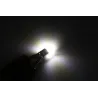T10 W5W 3030 LED Bulb Car Signal Lamp 2 pcsT10