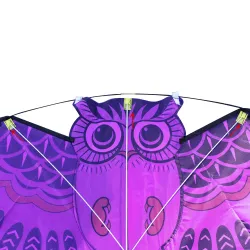 Cometacolorido búho fácil kite de mosca 110 * 50cm