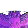 Cometacolorido búho fácil kite de mosca 110 * 50cm