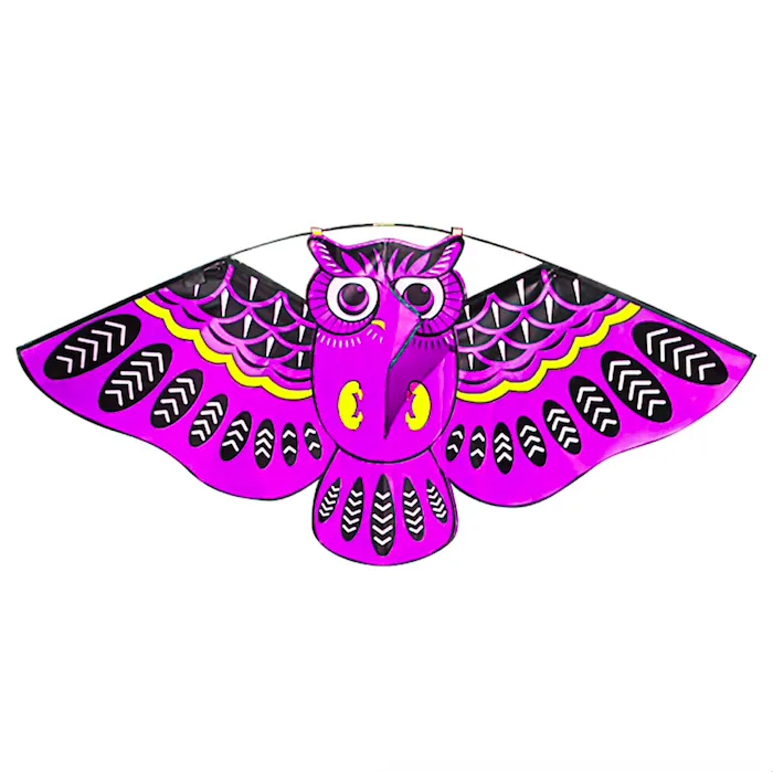 Cometacolorido búho fácil kite de mosca 110 * 50cm