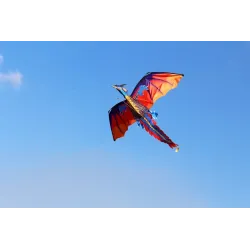 CometaColorido dragón volador - kite - 140 * 120cm