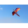 CometaColorido dragón volador - kite - 140 * 120cm