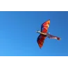 CometaColorido dragón volador - kite - 140 * 120cm