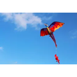CometaColorido dragón volador - kite - 140 * 120cm