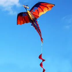 CometaKit 3D dragón con cola & línea 100m