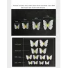 3D butterfly - wall sticker with magnet 12 piecesWall stickers