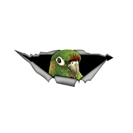 PegatinasLoro 3D verde - pegatina de coche 15 * 6cm