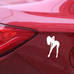 PegatinasChica sexy - pegatina de coche vinilo 9 * 15 cm